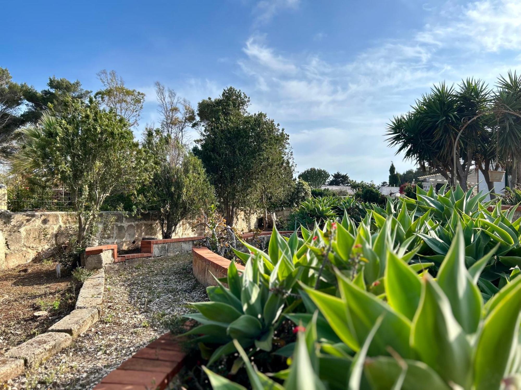 Villa Primavera Favignana Extérieur photo