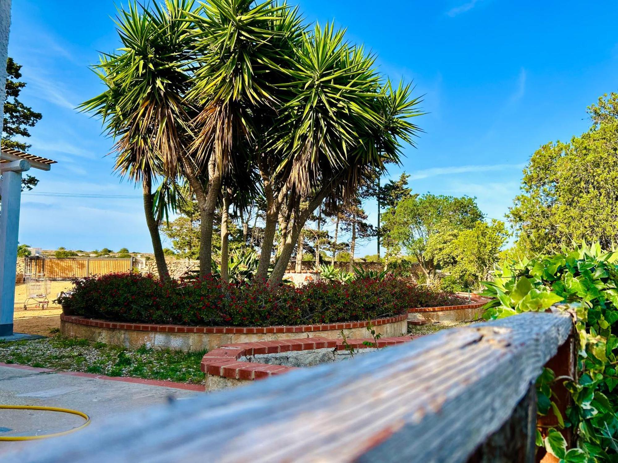Villa Primavera Favignana Extérieur photo